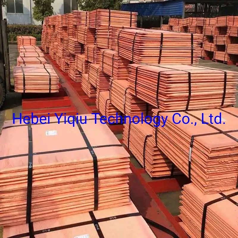 Cathode Copper Waste Sheet Thermal Conductivity Standard Mould Cu Cath T2 C11000 Cathode Purple Electrode Red Copper Wholesale Red Copper