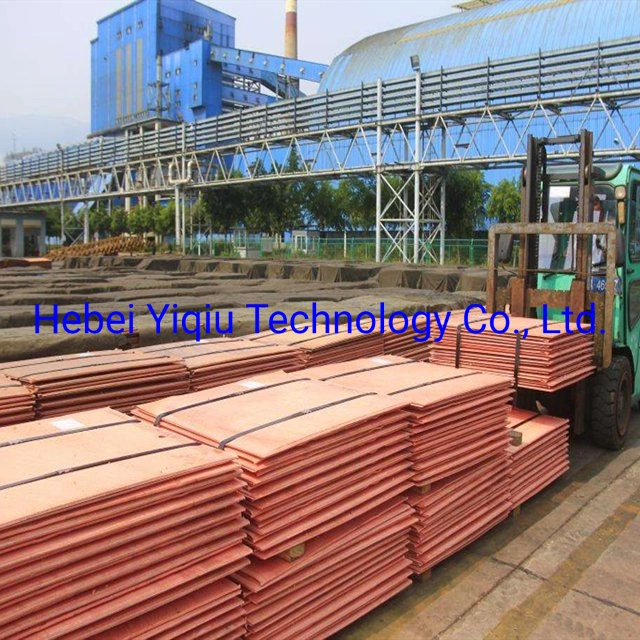 Cathode Copper Waste Sheet Thermal Conductivity Standard Mould Cu Cath T2 C11000 Cathode Purple Electrode Red Copper Wholesale Red Copper